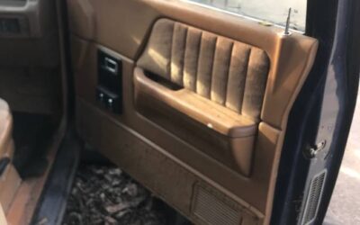 Dodge dakota 1991