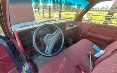 Dodge dakota 1991