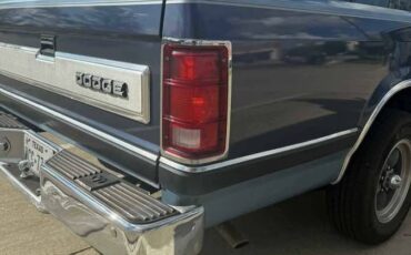 Dodge-dakota-conventional-cab-1988-blue-6