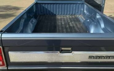 Dodge-dakota-conventional-cab-1988-blue-7