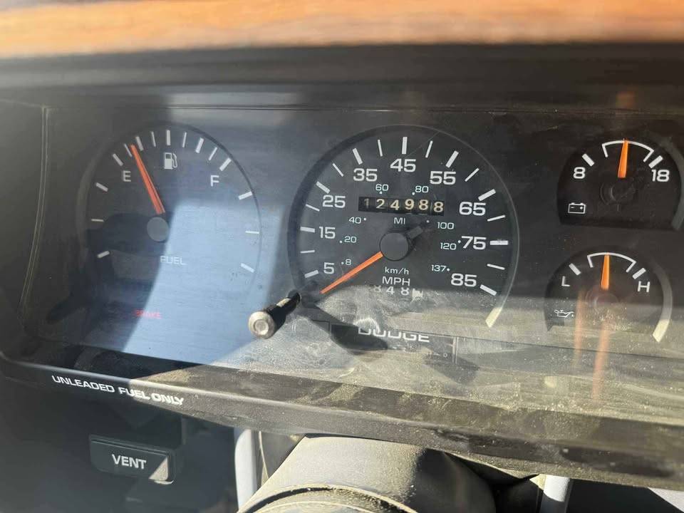 Dodge-dakota-conventional-cab-1988-blue-8