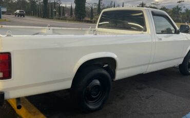 Dodge-dakota-long-bed-1991-1