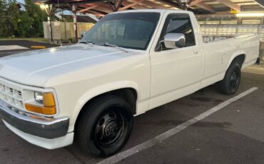 Dodge-dakota-long-bed-1991-3