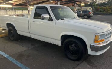 Dodge-dakota-long-bed-1991-4