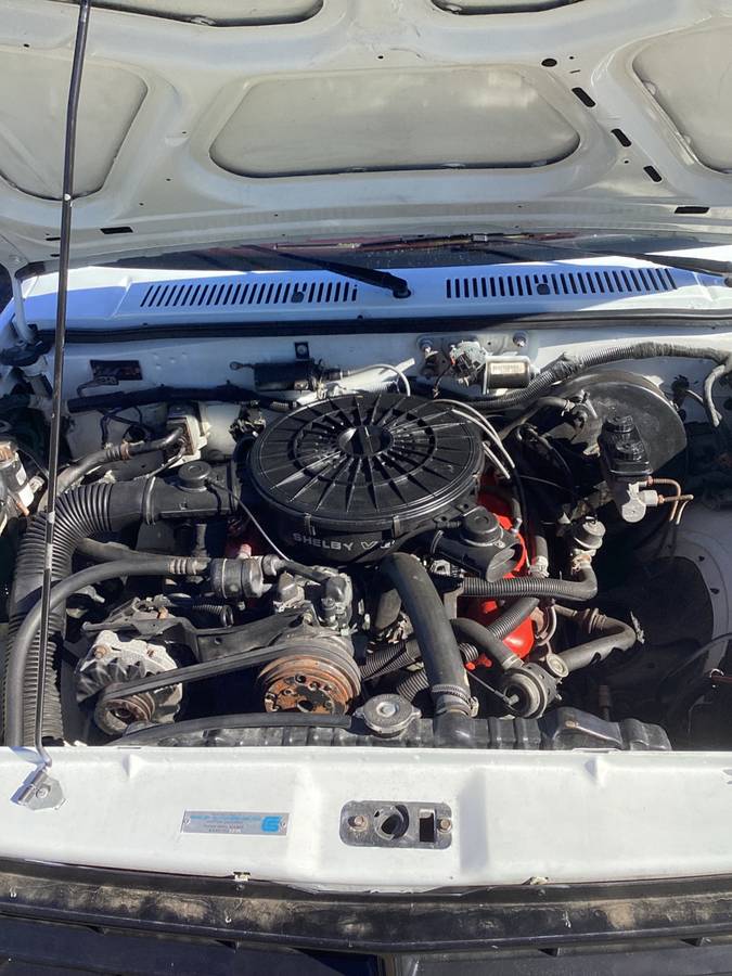 Dodge-dakota-shelby-1989-white-11