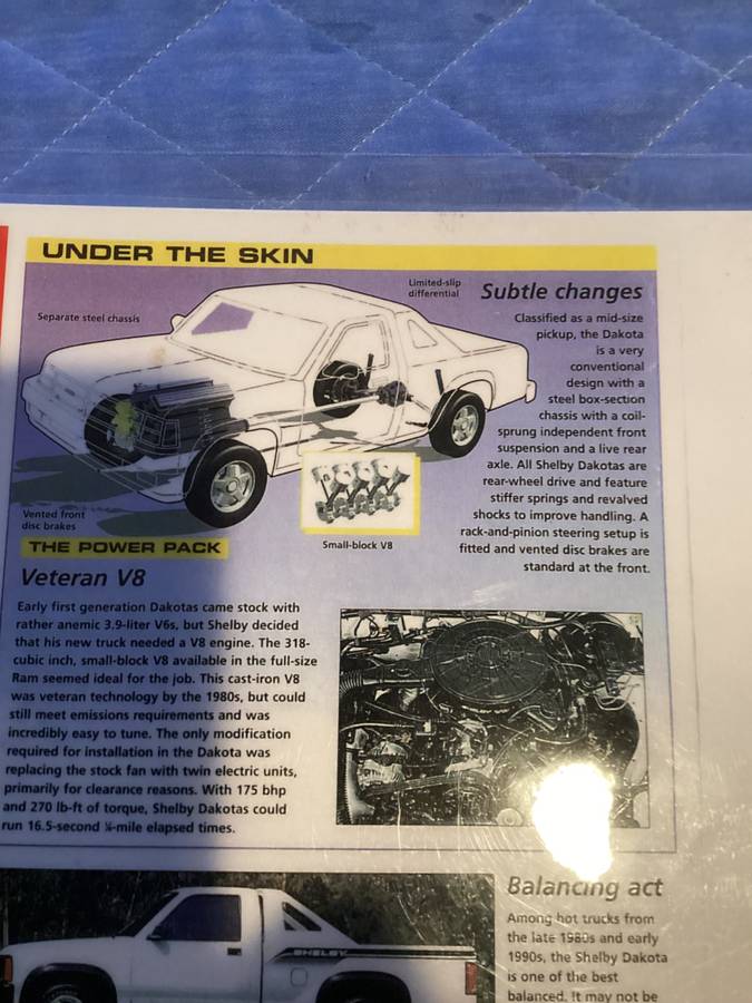 Dodge-dakota-shelby-1989-white-17