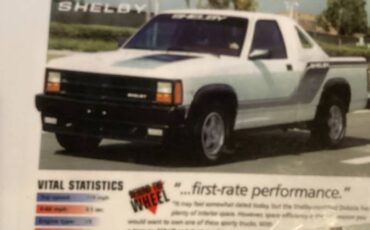 Dodge-dakota-shelby-1989-white-19