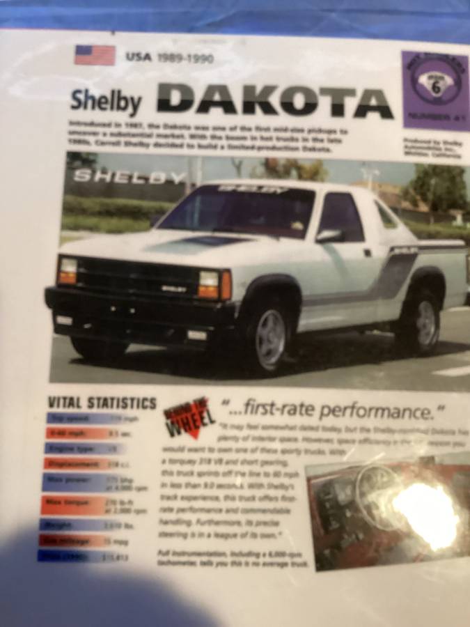 Dodge-dakota-shelby-1989-white-19
