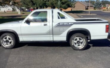Dodge-dakota-shelby-1989-white-3