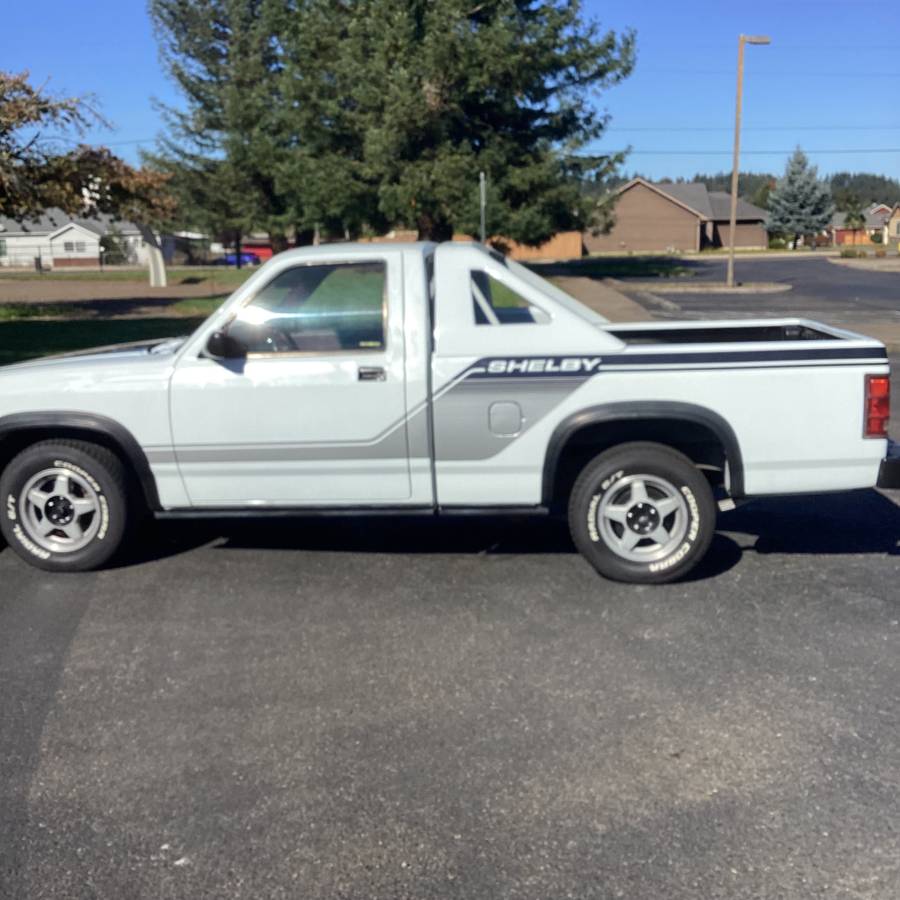 Dodge-dakota-shelby-1989-white-3