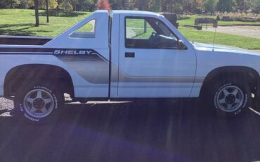 Dodge-dakota-shelby-1989-white
