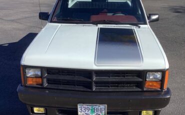 Dodge-dakota-shelby-1989-white-4