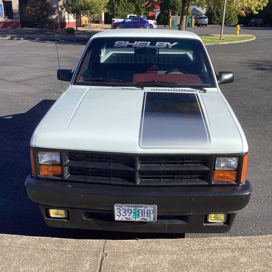 Dodge-dakota-shelby-1989-white-4