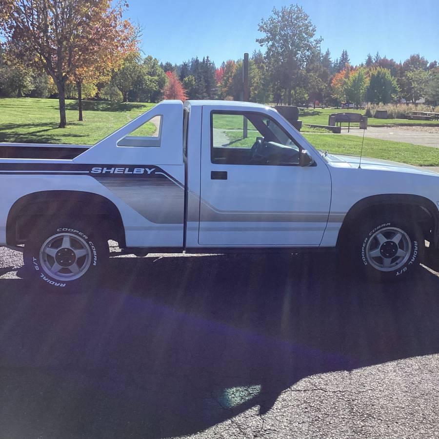 Dodge-dakota-shelby-1989-white