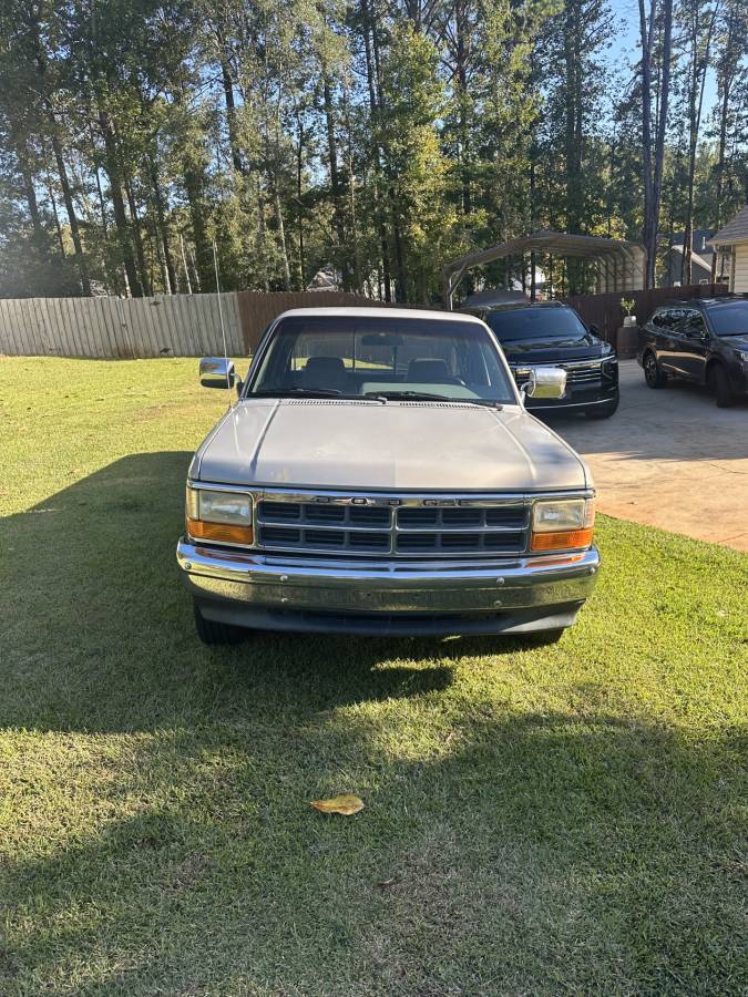 Dodge-dakota-slt-1995-silver-1