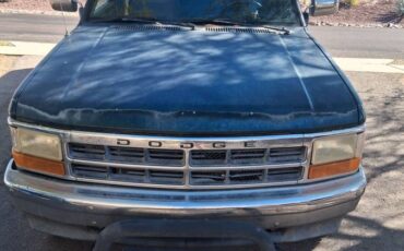 Dodge-dakota-slt-4x4-1994-green