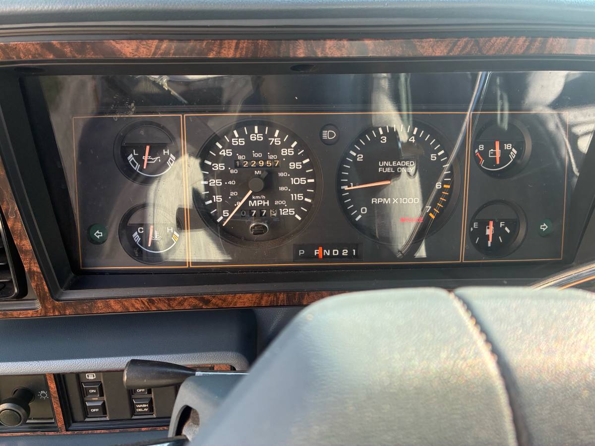 Dodge-grand-caravan-1988-blue-8