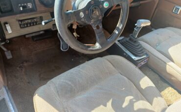 Dodge-magnum-1978-brown-1