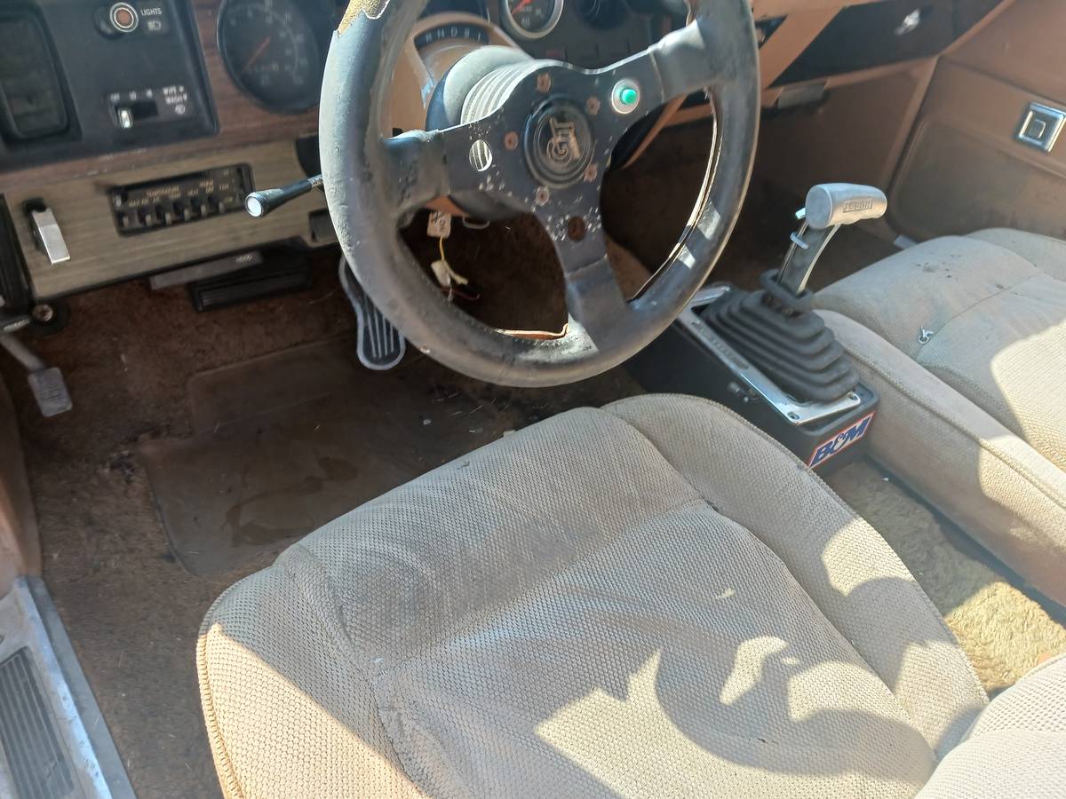 Dodge-magnum-1978-brown-1