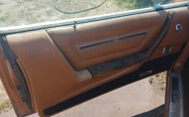 Dodge-magnum-1978-brown-4