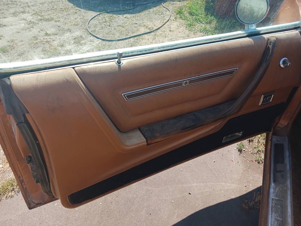 Dodge-magnum-1978-brown-4