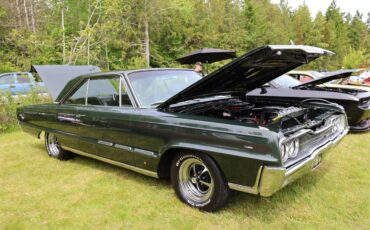 Dodge-monaco-1966-green-7
