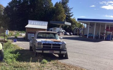 Dodge-pickup-diesel-1991-grey-1