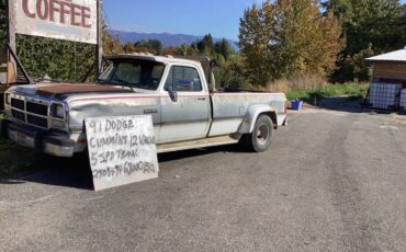 Dodge-pickup-diesel-1991-grey-2
