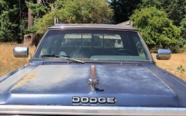 Dodge-power-ram-le150-4x4-extended-cab-and-bed-1990-blue-8
