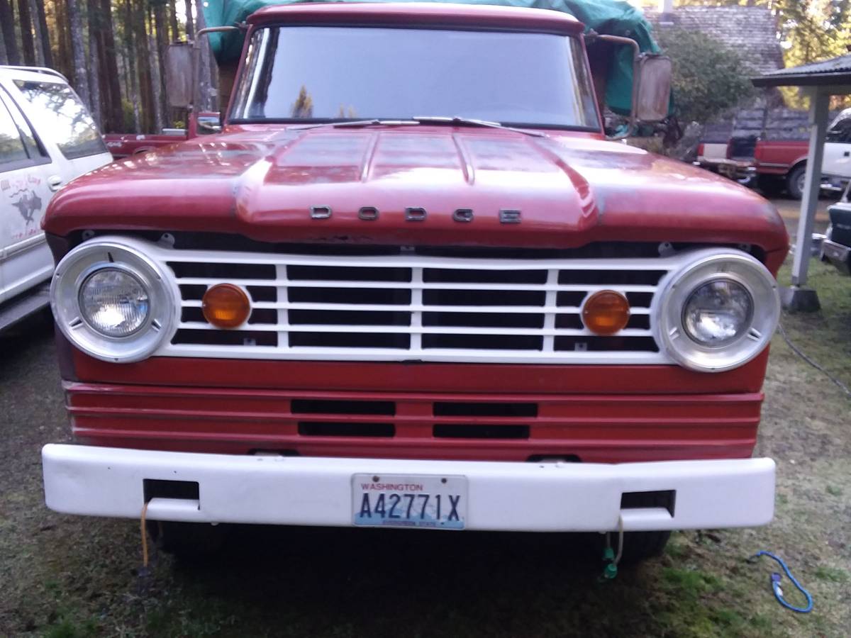 Dodge-power-wagon-1967-1