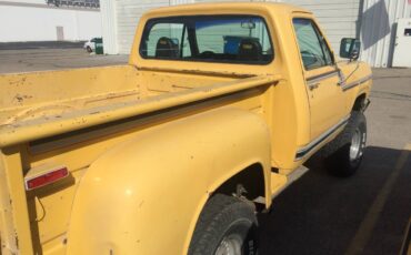 Dodge-power-wagon-1977-yellow-16