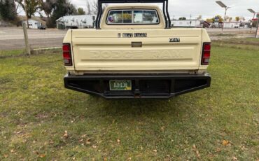 Dodge-ram-1500-1985-yellow-4