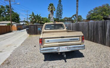 Dodge-ram-1500-1990-custom-8