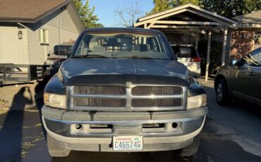 Dodge-ram-1500-1996-green-2