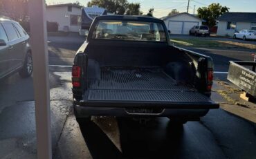 Dodge-ram-1500-1996-green-3