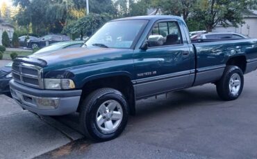 Dodge-ram-1500-4x4-1994-19