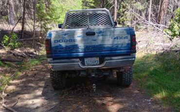 Dodge-ram-2500-1994-blue-11