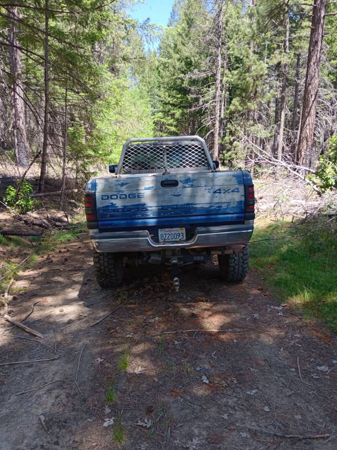 Dodge-ram-2500-1994-blue-11