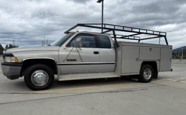 Dodge-ram-diesel-cummins-3500-dually-1996-silver-7