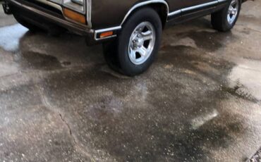 Dodge-ramcharger-150s-1989-brown-18
