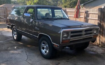 Dodge-ramcharger-150s-1989-brown-3