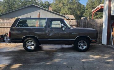 Dodge-ramcharger-150s-1989-brown-4