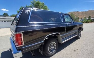 Dodge-ramcharger-1986-black-2