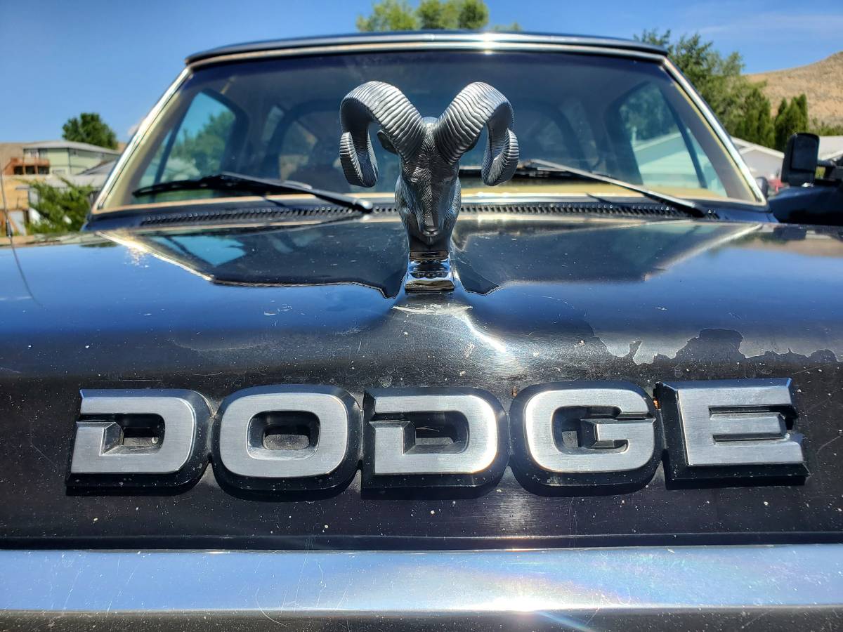 Dodge-ramcharger-1986-black