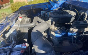 Dodge-w-series-power-150-job-rated-1988-blue-12