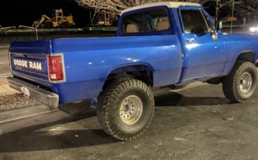 Dodge-w-series-power-150-job-rated-1988-blue-15
