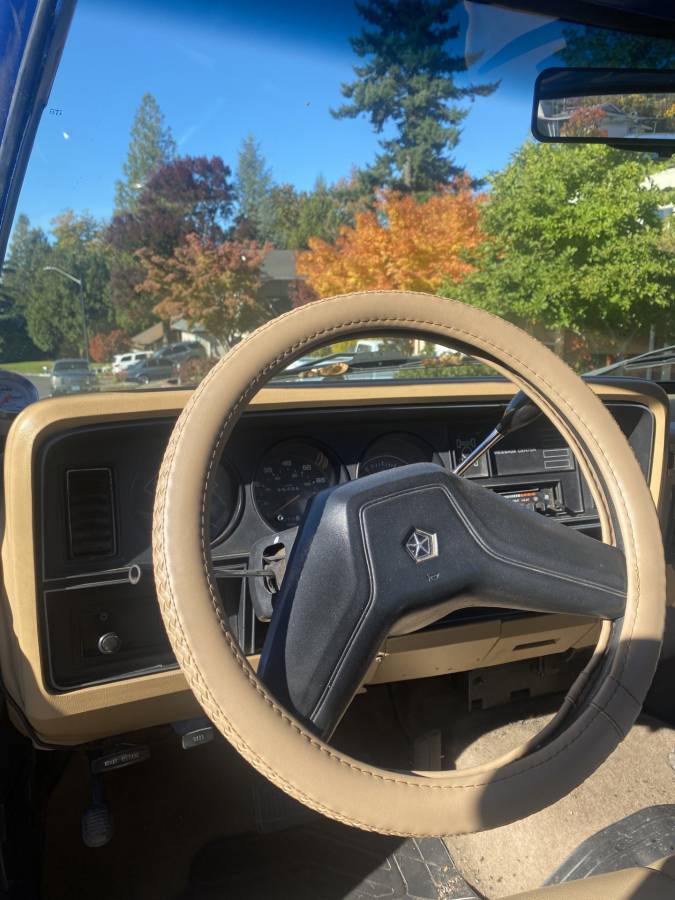 Dodge-w-series-power-150-job-rated-1988-blue-3