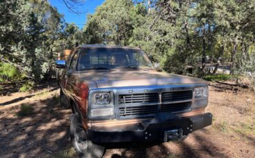 Dodge-w-series-w200-diesel-1993-red-1