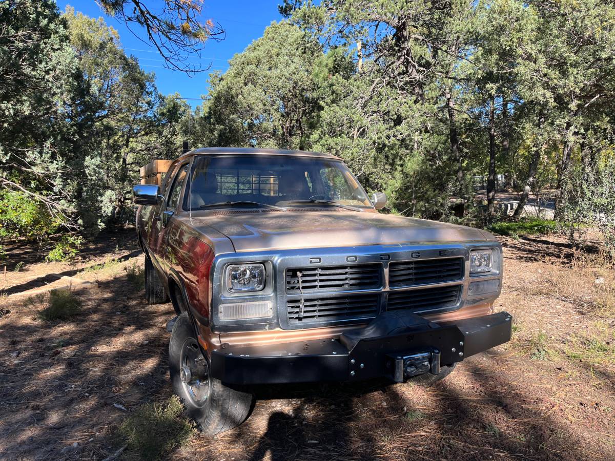 Dodge-w-series-w200-diesel-1993-red-1