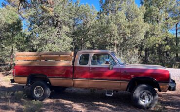 Dodge-w-series-w200-diesel-1993-red-2